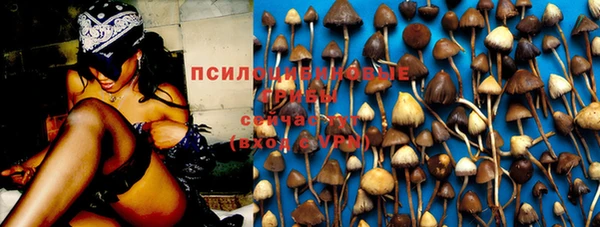 синтетический гашиш Апатиты