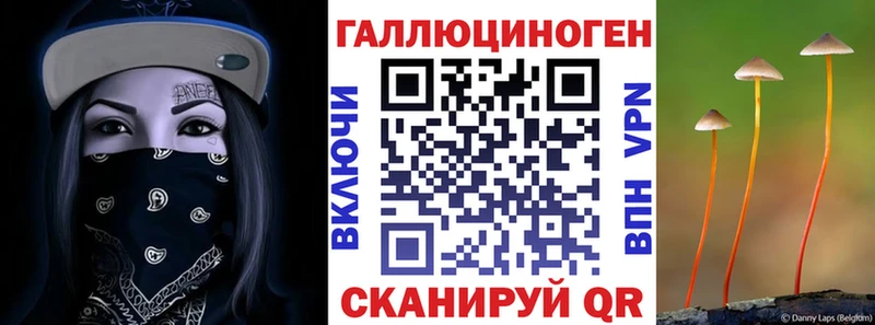 Галлюциногенные грибы MAGIC MUSHROOMS  закладки  гидра рабочий сайт  Заозёрск 